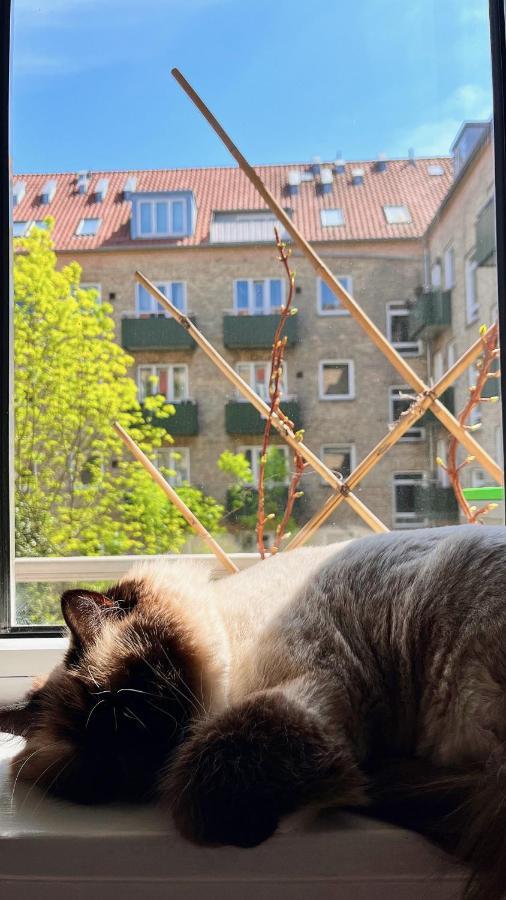 Oasis Hideaway Midst Center * Copenhagen